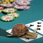 online poker slow playing tips